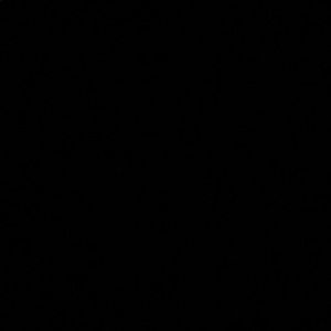 Meet your Posher, Rafael